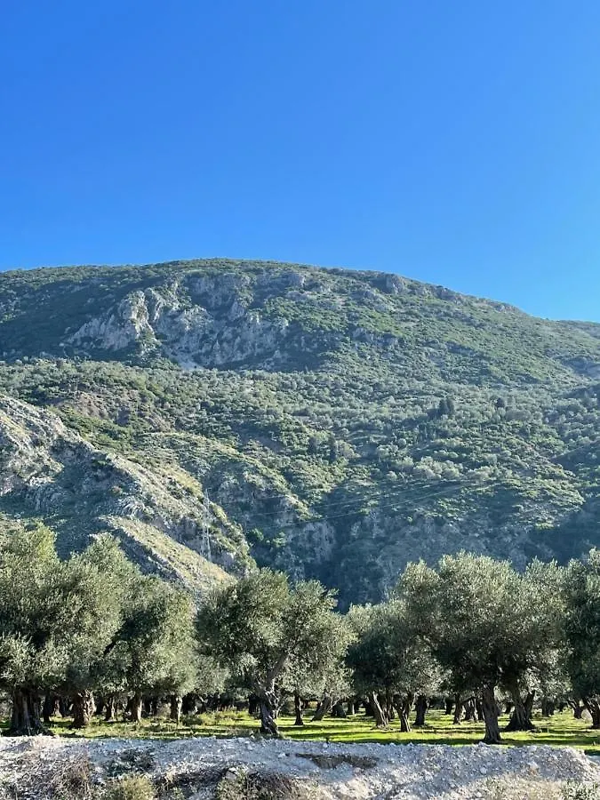Apartment Farmhouse Qeparo Albanien